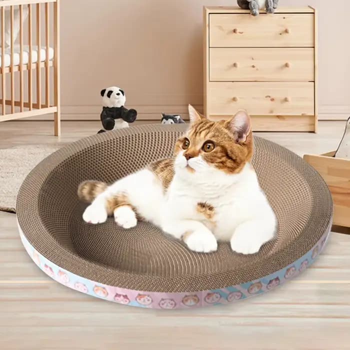 Planche à gratter ronde pour chat