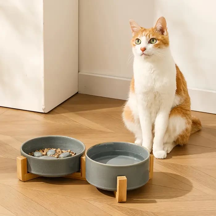 Gamelle surélevée en bois pour animaux de compagnie avec finition émaillée