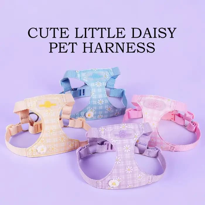 Harnais pour animaux de compagnie motif marguerite mignon, réglable, anti-évasion, doux et respirant, type gilet, pour chats, chatons et petits chiens, pour la promenade