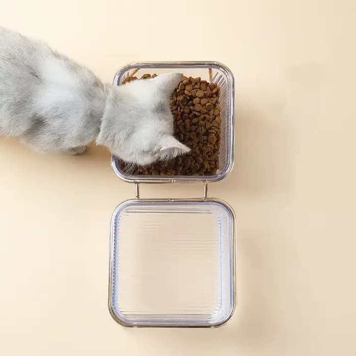 Double bol Transparent pour animaux de compagnie