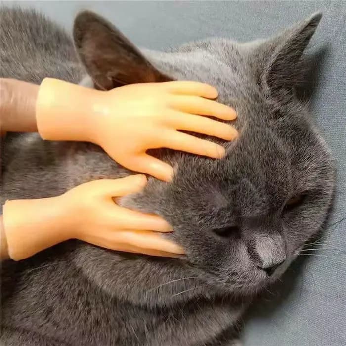 Mini mains amusantes pour taquiner le chat