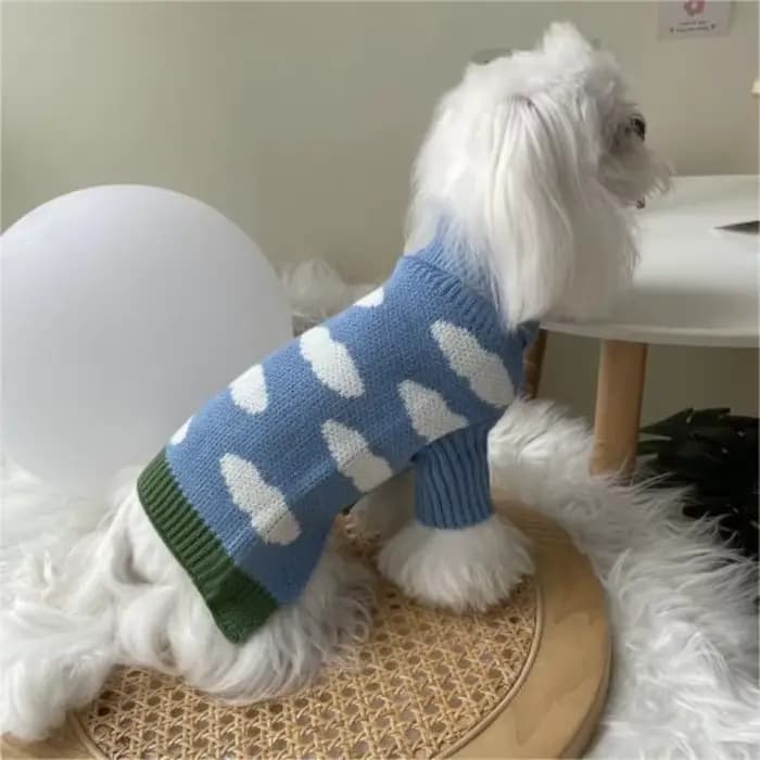 Pull nuage pour chien, vêtements chauds pour chats au printemps