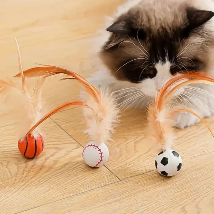 Balle interactive pour chatons et chats adultes d'intérieur avec plumes