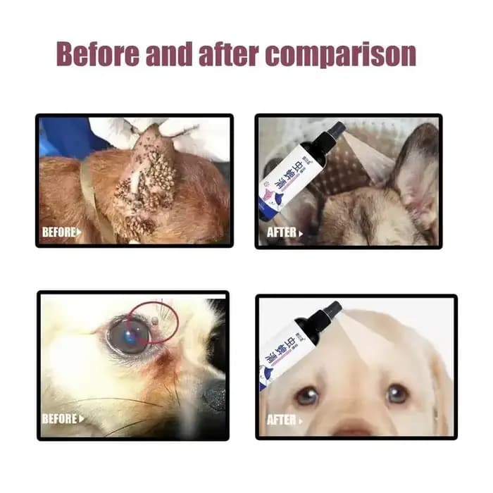 Gouttes anti-puces pour animaux de compagnie