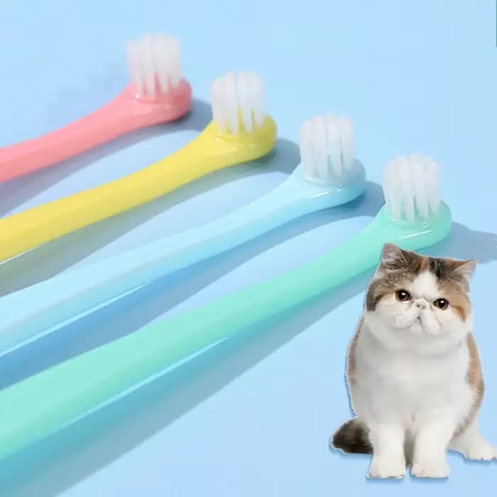 Brosse à dents pour chat
