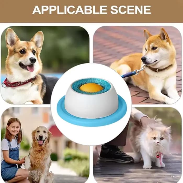 Jouets de haute qualité résistants aux morsures pour animaux de compagnie