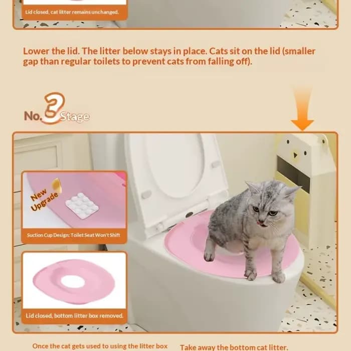 Meilleur kit d'apprentissage de la propreté pour chat en plastique