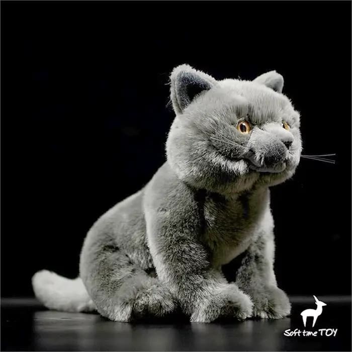 Jouet en peluche British Shorthair réaliste-animal en peluche chat britannique bleu réaliste, peluche bleu russe, cadeau de poupée de Simulation