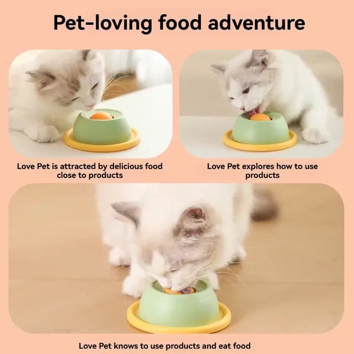 Bol pour chat anti-éclaboussures de grande capacité ! Fabriqué en matériau de qualité alimentaire avec une base robuste