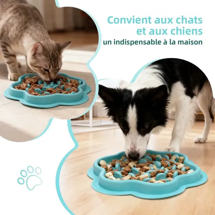 Bol de glouton pour chat et chien