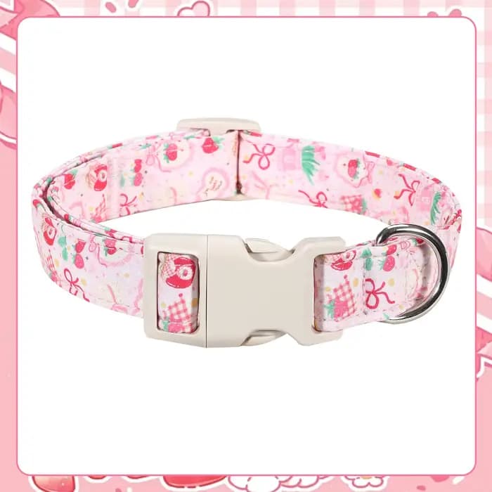 Collier anti-perte réglable et détachable pour chat et chien