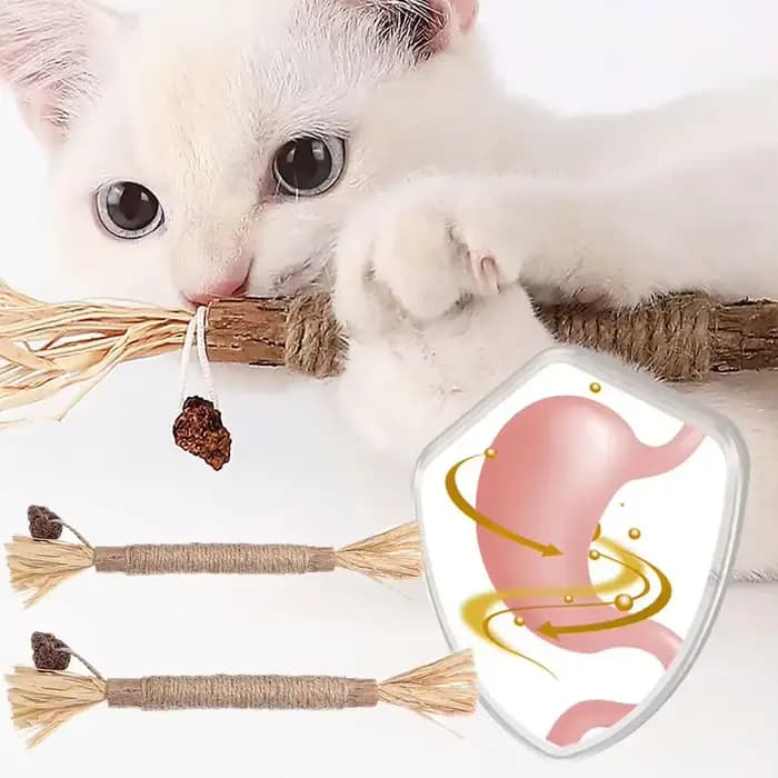 Jouet à mâcher en herbe de cataire pour chat