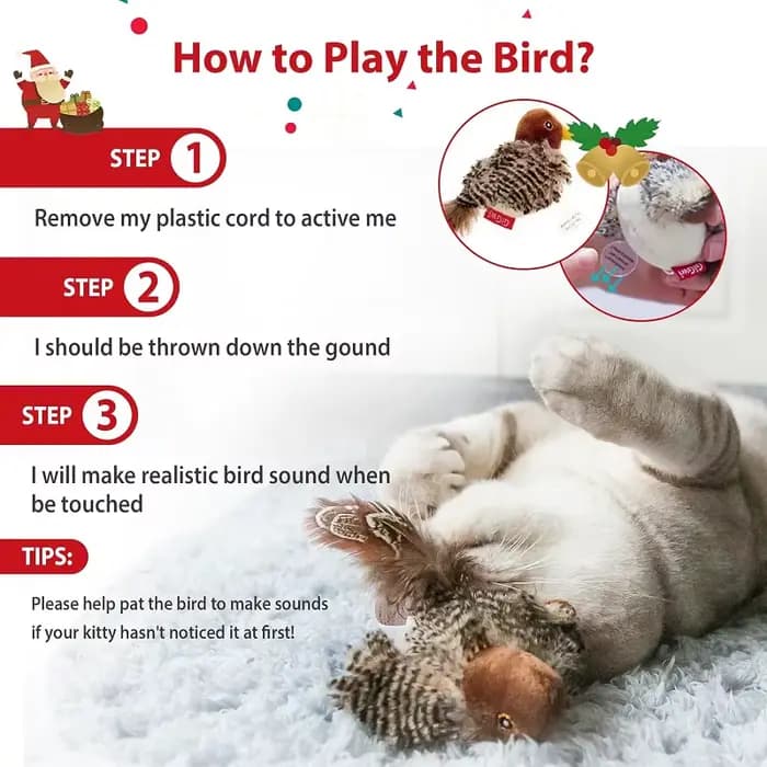 Jouets Interactifs en Peluche pour Chat