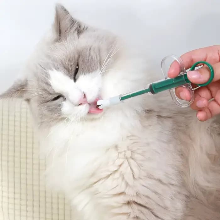OUWO chien chat distributeur de médicaments pour animaux de compagnie comprimé seringue avec 2 pièces pointe