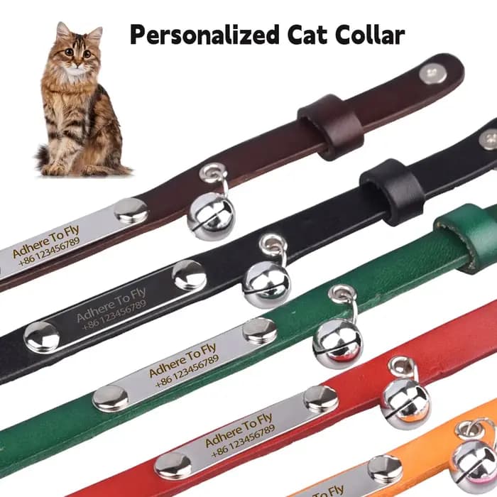 Collier de chat personnalisé réglable en cuir colliers de chats de compagnie