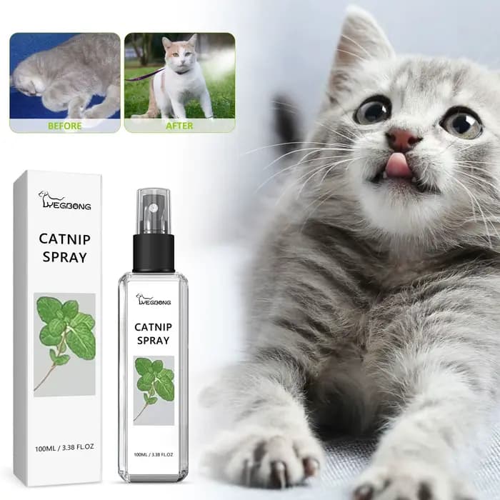Spray d'herbe à chat pour chats