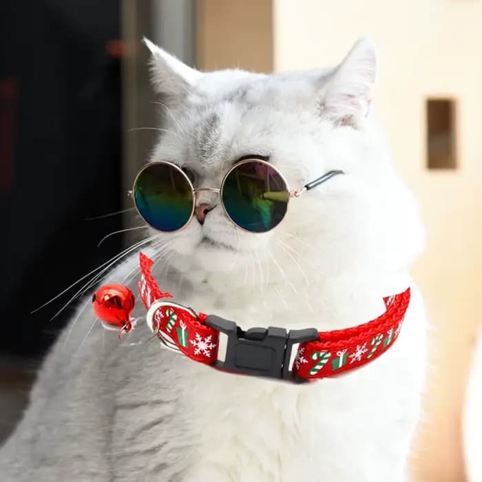 Avec cloche collier de chat de noël polypropylène blanc/vert/rouge collier de noël pour animaux de compagnie motif flocon de neige/élan cerf réglable