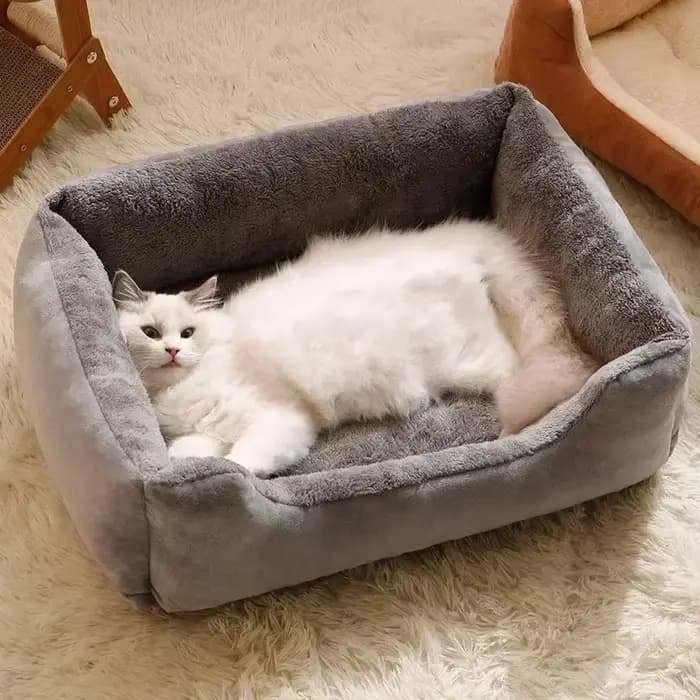Nouveau lit pour chats