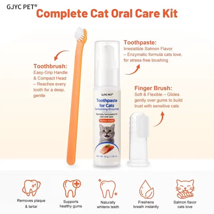 Gel dentaire enzymatique pour chat, saveur saumon, éliminateur de plaque et de tartre, soin buccal, haleine fraîche, comestible, sûr pour le brossage quotidien