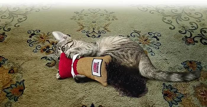 Jouet pour chat KONG Kickeroo Cuddler, couleurs variées