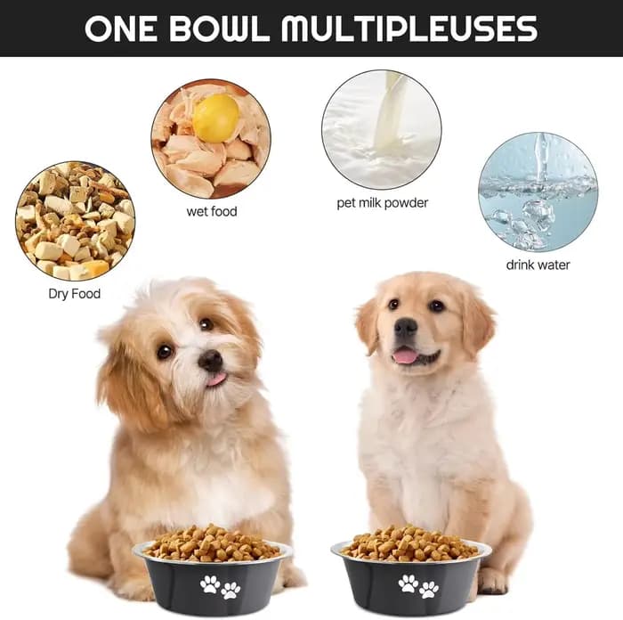 Lot de 2 gamelles pour animaux de compagnie en acier inoxydable