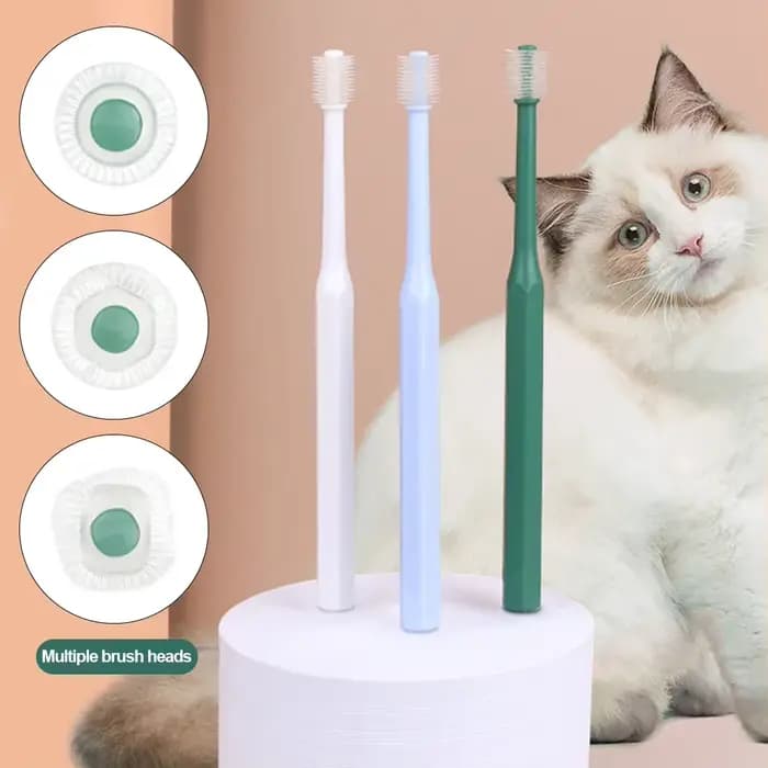 Brosse à dents pour chat