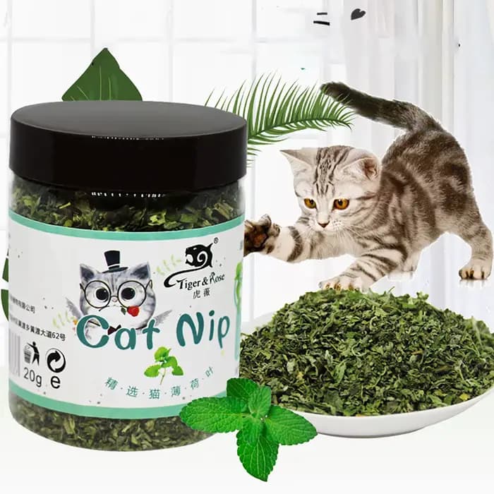 Bio 100% naturel de haute qualité herbe-aux-chats bétail goût de menthe drôle chat jouet nouveau