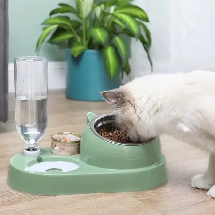 Nouveau 2-en-1 chat bol distributeur d'eau stockage