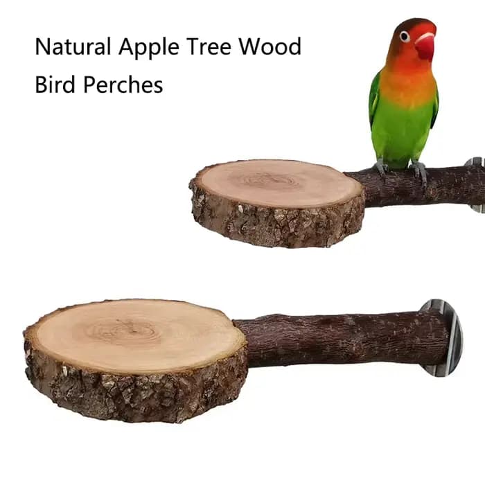 Arbre à pommes naturel en bois pour perroquet