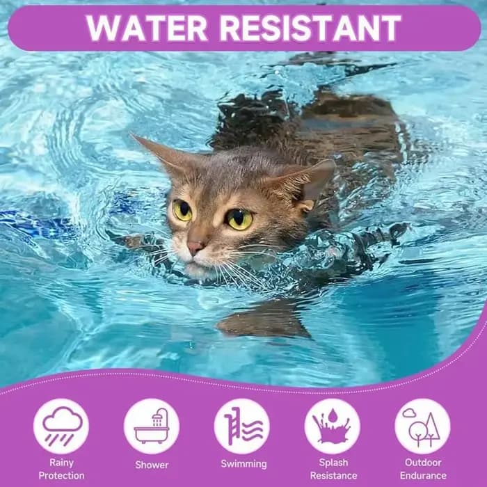 Collier apaisant pour chien et chat, sangle de cou en plastique, collier apaisant pour chat réglable, soulage l'anxiété, élimine l'agitation, produit apaisant pour animaux de compagnie