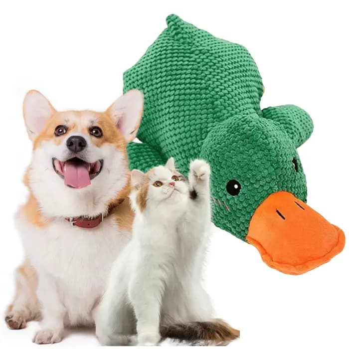 Jouet à mâcher interactif pour chien, jouets en peluche pour chien pour les occuper, en tissu doux mais résistant, pour animaux de petite, moyenne et grande taille