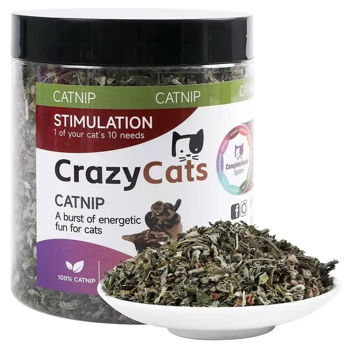Pet's Cat Premium Catnip-56g Pot de cataire à haute puissance