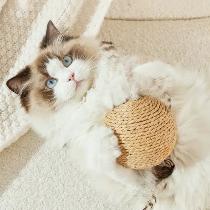 Balle à gratter interactive en Sisal pour chat