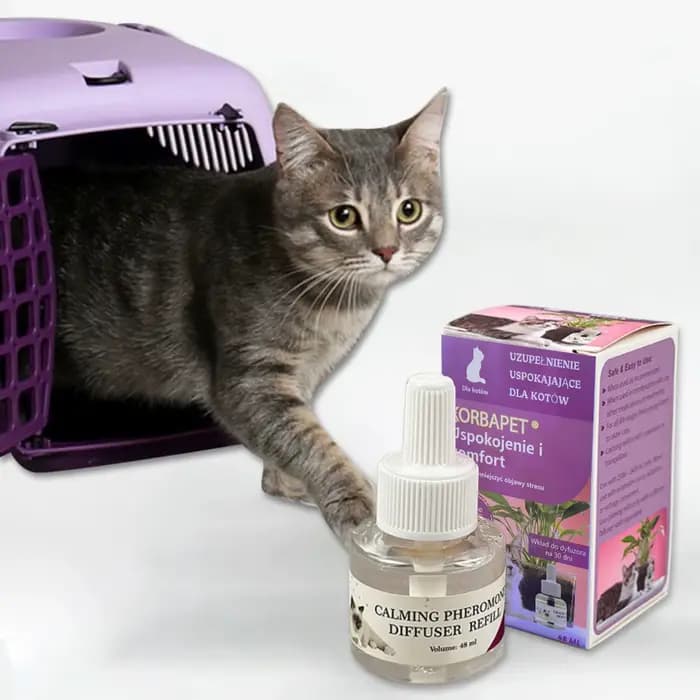 Spray apaisant aux phéromones pour chats 48 ml – Prévient les griffades et les urinations indiscriminées – Phéromone