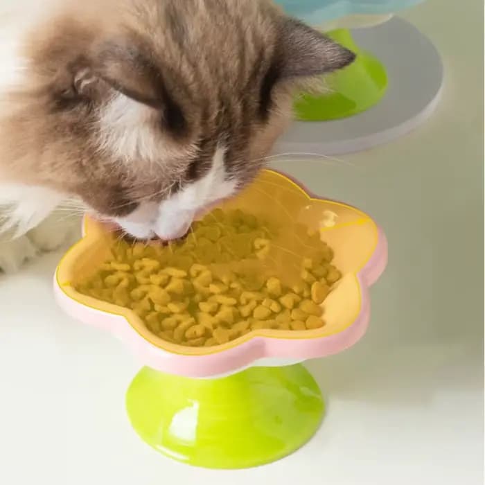 Gamelle en céramique pour chat avec motif floral et support