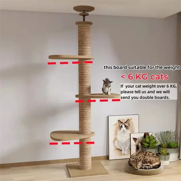 Cadre d'escalade réglable pour chat