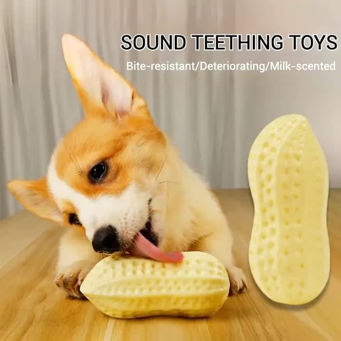 Jouets pour animaux de compagnie TPR Simulation cacahuète son jouet série végétale