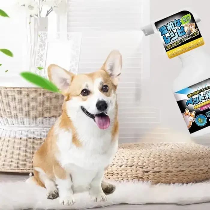 Spray Désodorisant pour Animaux de Compagnie Formule Enzymatique Biologique Nettoyant Urine Chat Chien Décomposeur d'Odeurs Fournitures Quotidiennes d'Entretien pour Animaux Domestiques