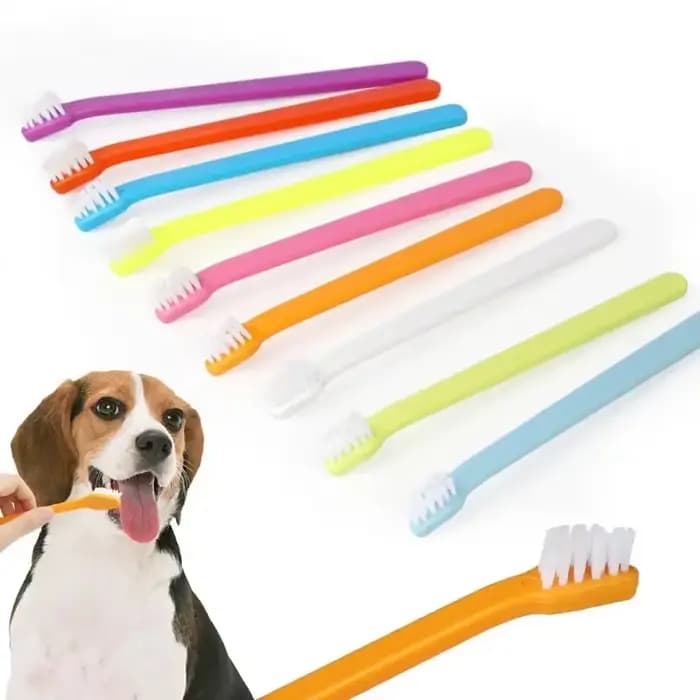 Brosse de nettoyage pour dents de chat et chien