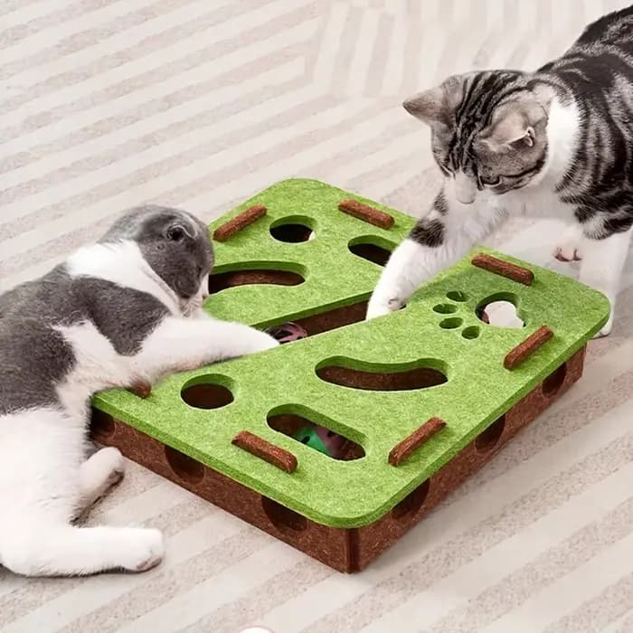 Puzzle interactif pour chat