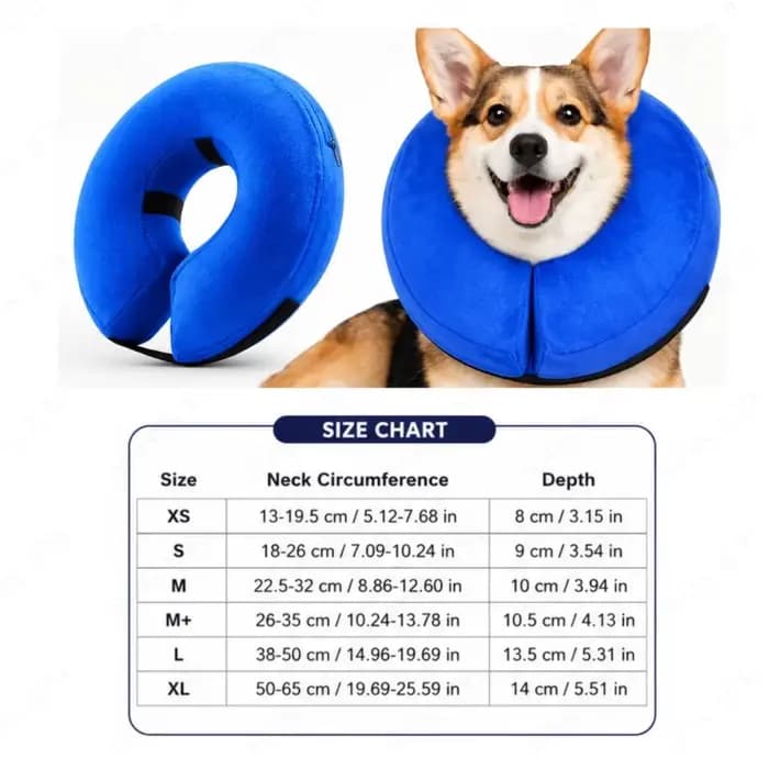 Collier de récupération gonflable pour chien