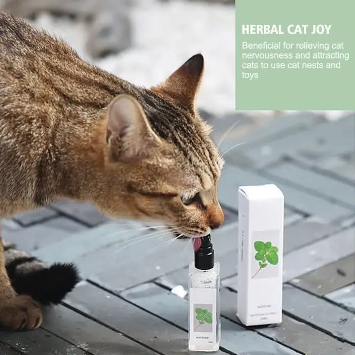 Vaporisateur de joie de chat à base de plantes pour animaux de compagnie