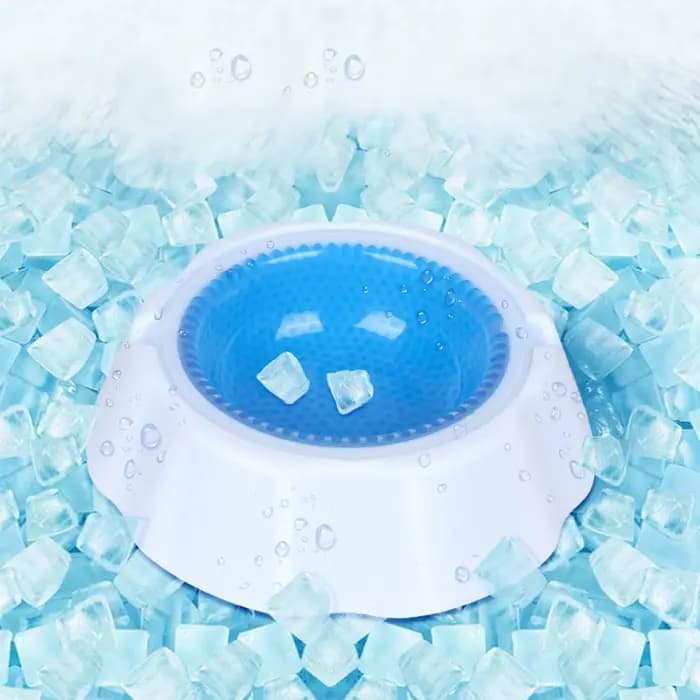 Bol de refroidissement pour animaux de compagnie d'été bol pour animaux de compagnie de soulagement de la chaleur, bol de réfrigération pour animaux de compagnie bol d'eau froide pour chien pour la ma