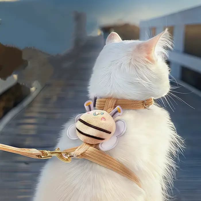 Harnais pour chat, harnais et ensemble pour animaux de compagnie