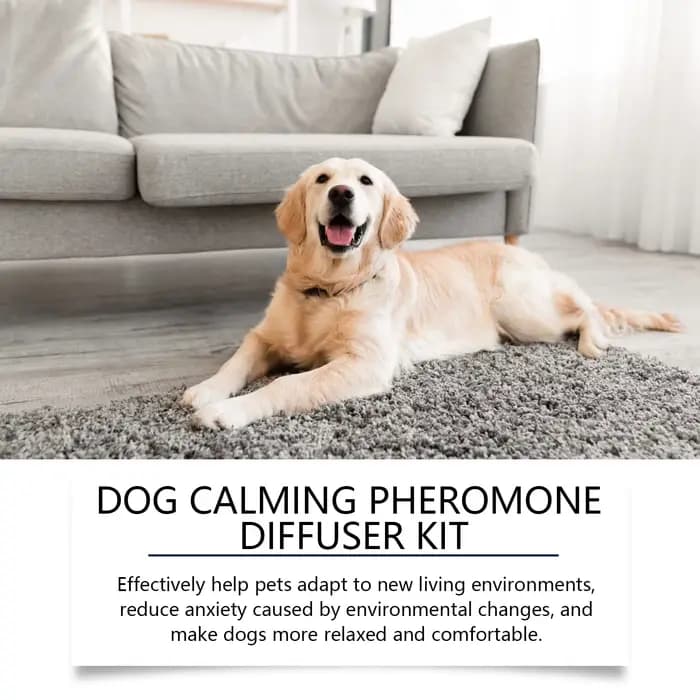 Phéromones pour animaux de compagnie diffuseur apaisant chat chien calme relaxant soulagement des émotions