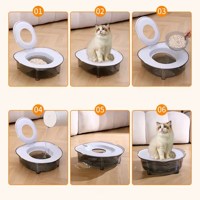 Kit d'entraînement à la propreté pour chat