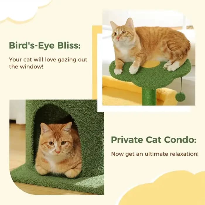 Arbre à chat d'intérieur de 36