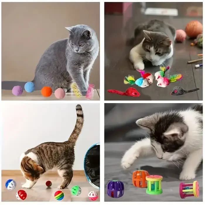Pack mixte de jouets pour chats
