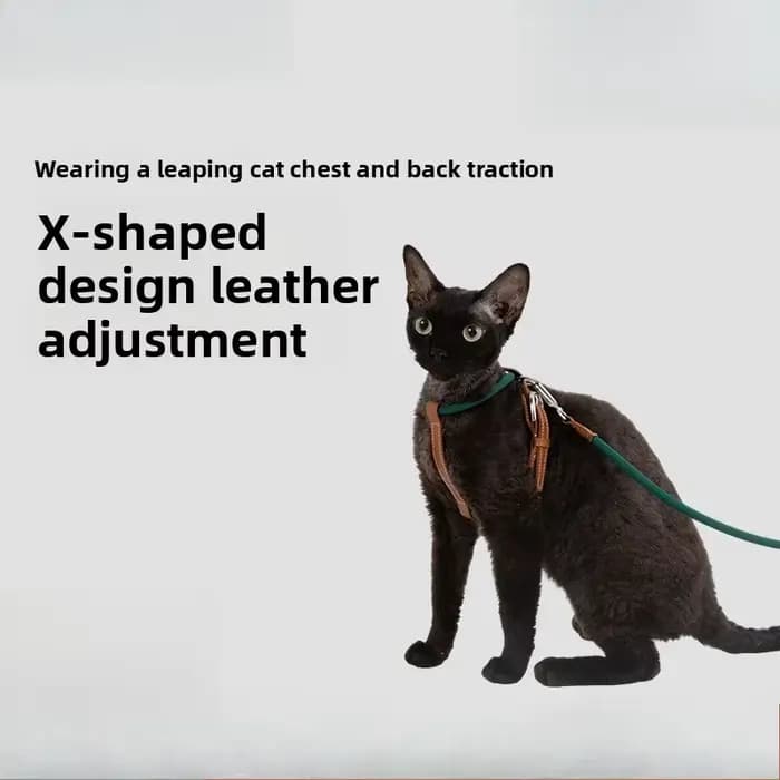 Ensemble Harnais et Laisse pour Chat en Cuir 4 Vitesses