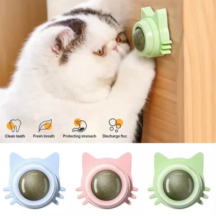 Sucette collée en herbe-aux-chats